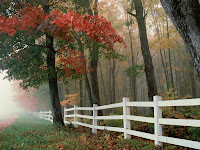 hqwallpaper.ca