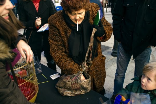 [IMG_7701.jpg]