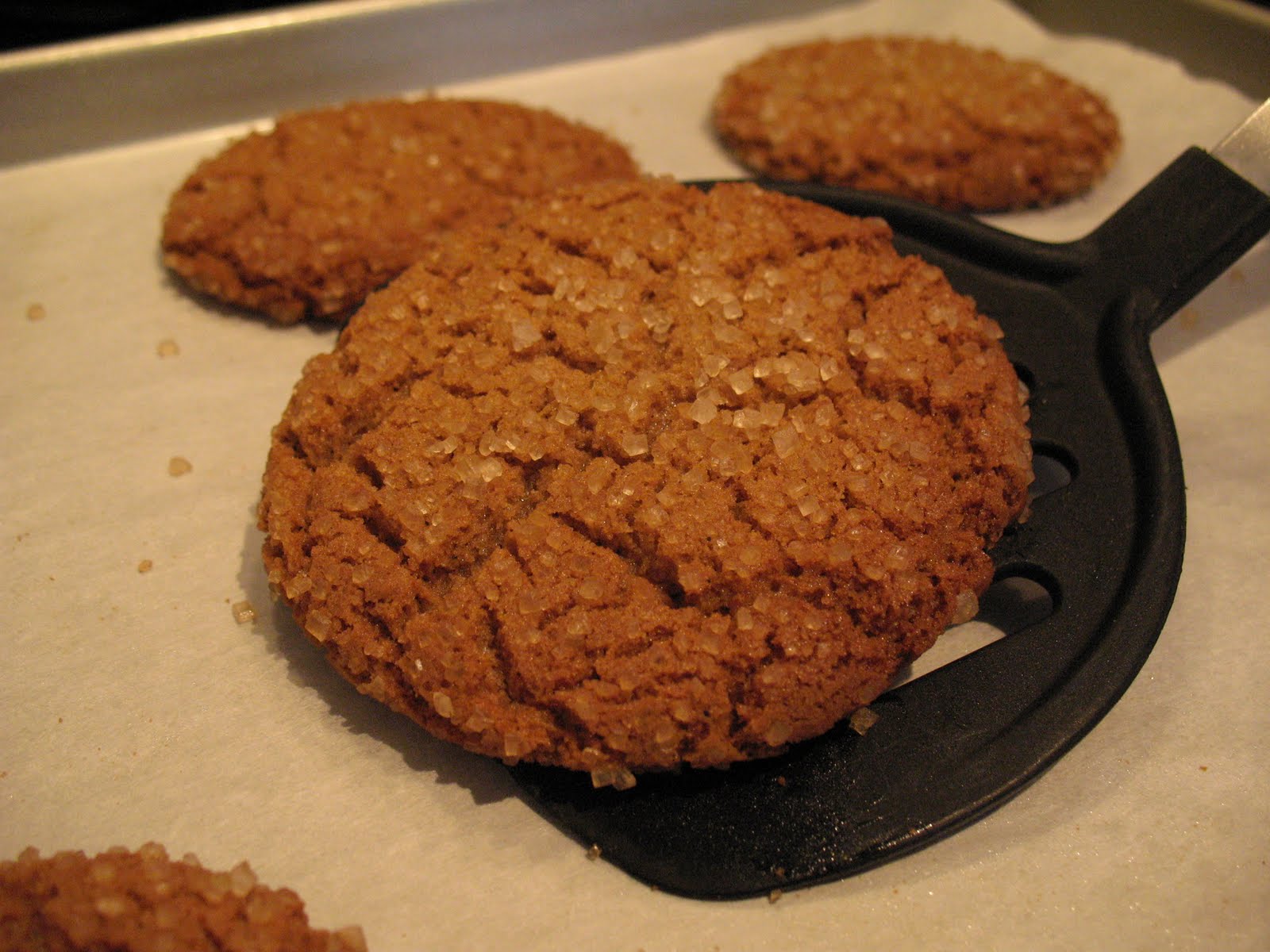 Anna's Table " I Can't Believe There Is No Butter"......Ginger Snap