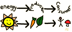 Diagram showing: Energy (the sun) going to Producer (carrot, leaf) going to Consumer (human, mushroom)