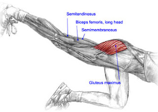 floor-hip-extensions.jpg