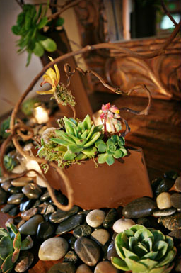 [natural+rustic+centerpiece+with+kiwi+vine+and+succulents.png]