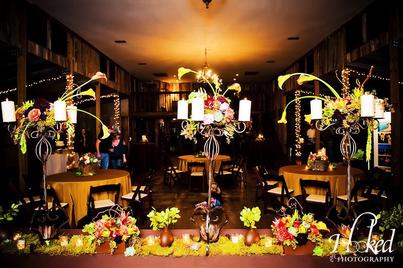 [venvwr0109_015.jpg]