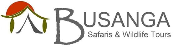 Busanga Safaris