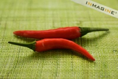 chilli pepper