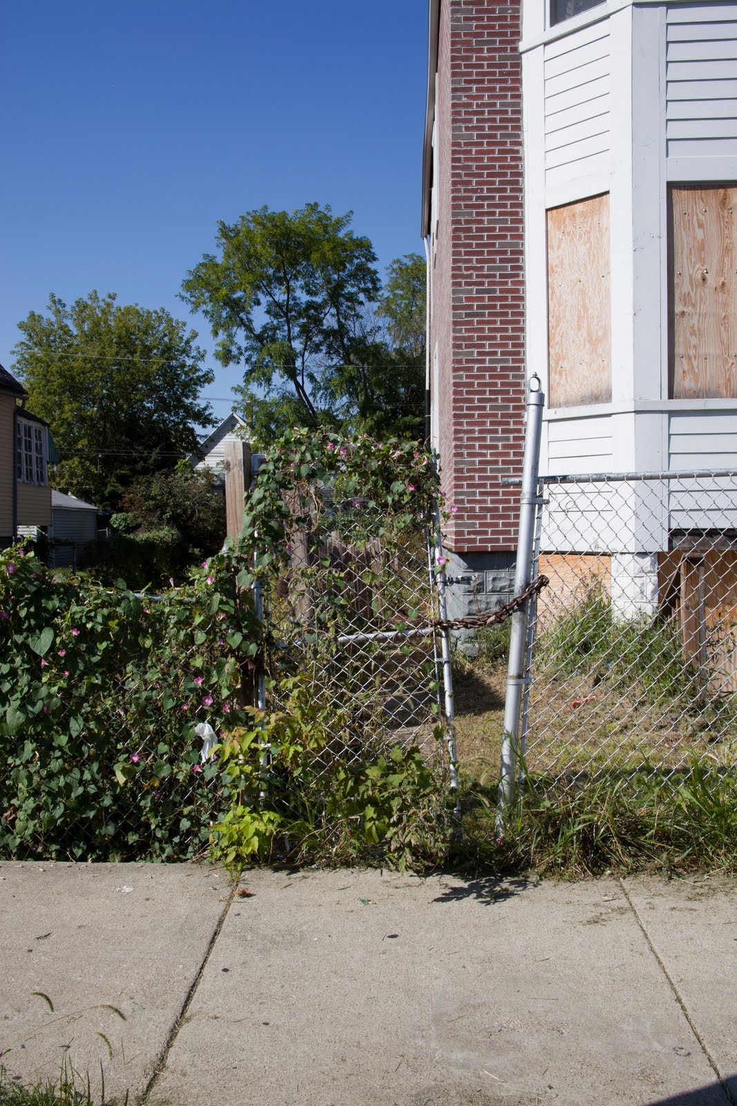 Killing Season Chicago: DuJuan Johnson, 29