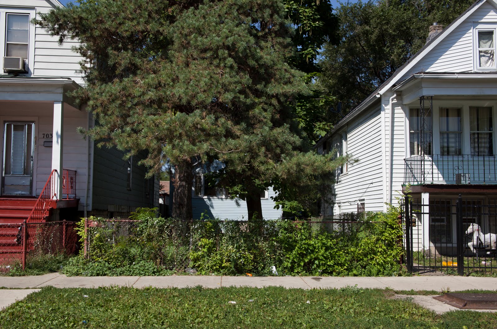 Killing Season Chicago December 2010