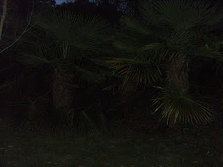 Irland Teil 3 - 12 of 12