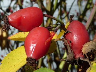 Herbstliche Inspiration - Ätherische Öle Duftmischung