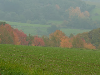 Herbstliche Inspiration - Ätherische Öle Duftmischung