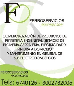 Ferroservicios Don Nelson