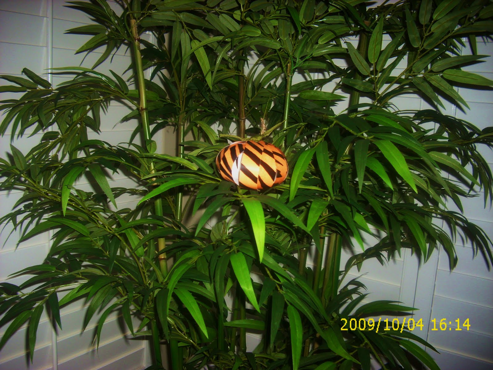 [Oct09+027.JPG]