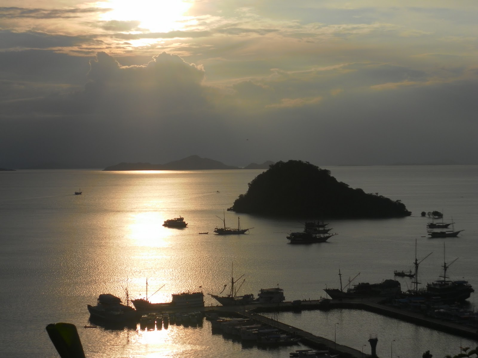 Real Dragon Sightings