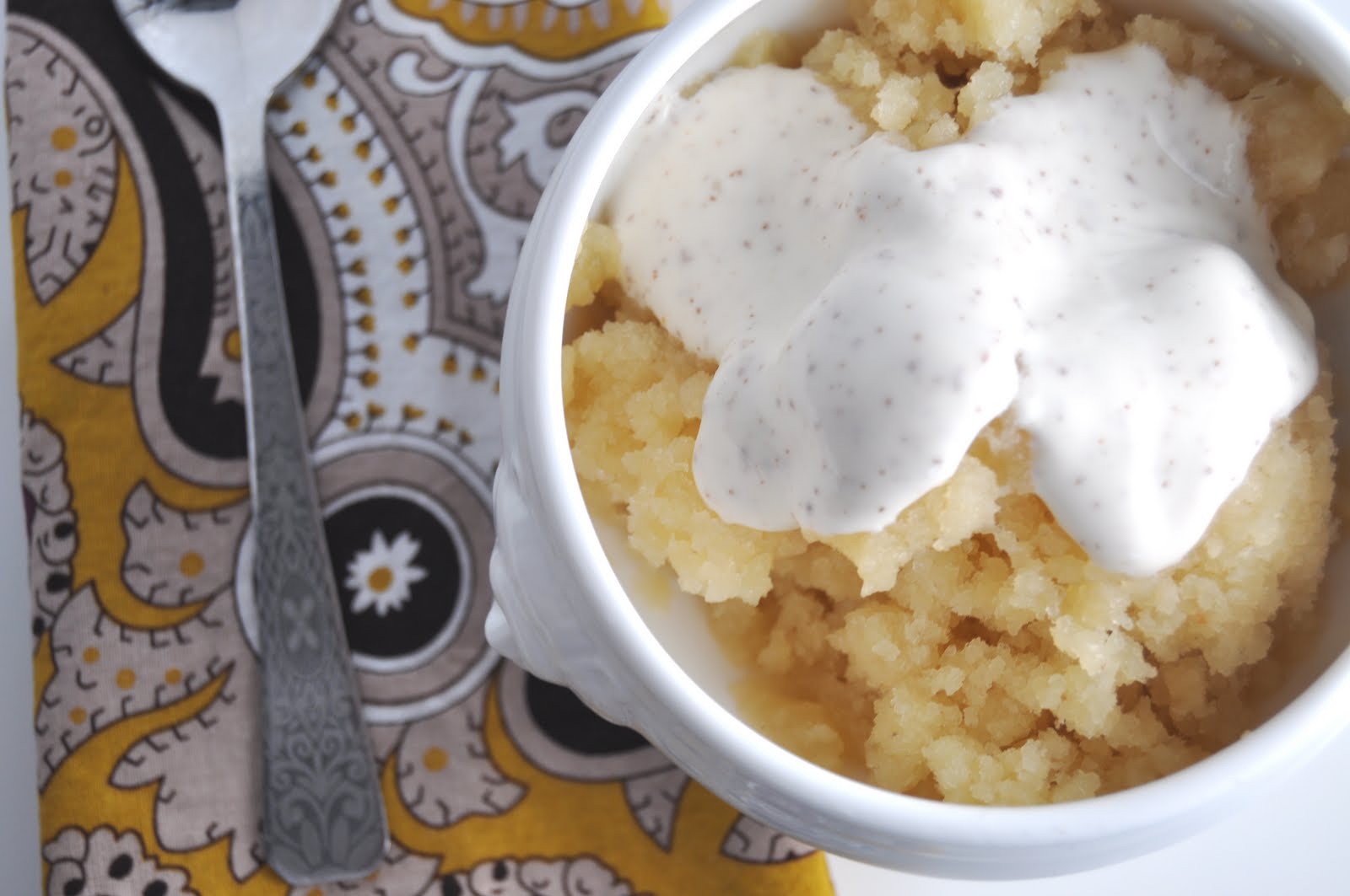 Impeccable Taste Applesauce Granita with Maple Yogurt