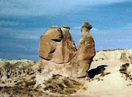 DEVE İŞARETİ Camel+rock