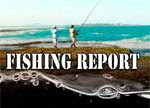 Australia Wide Fishing Reports