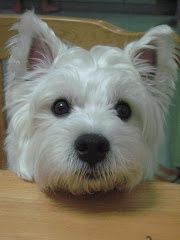 cute?my friends dog~