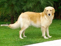 CHIARA NOSTRANO DI MALGA