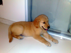 MARTINA NOSTRANO DI MALGA