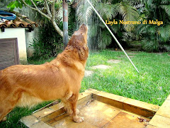 LAYLA NOSTRANO DI MALGA