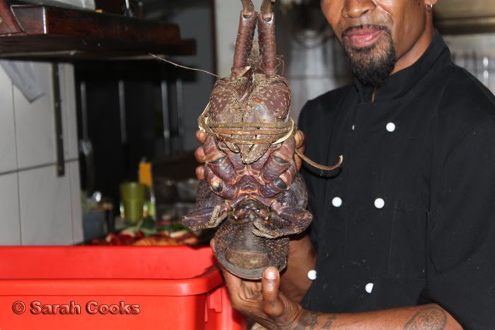 Coconut Crab Eating