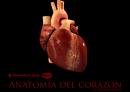 [corazón.jpg]