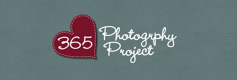 Missie 365 - Photography Project