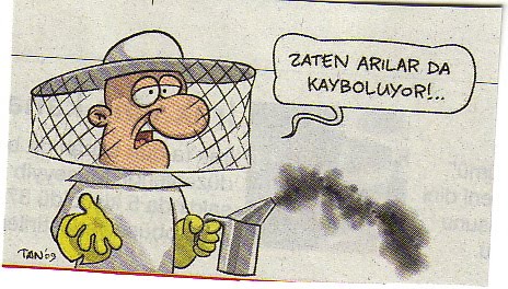 [Arılar.jpg]