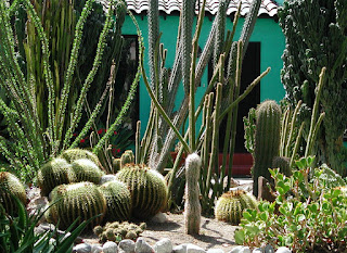 Fairy Yardmother Landscape Design: Front Yards -- Cacti and Succulents