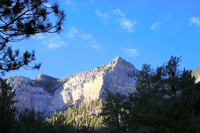 Mount Charleston, Las Vegas, NV