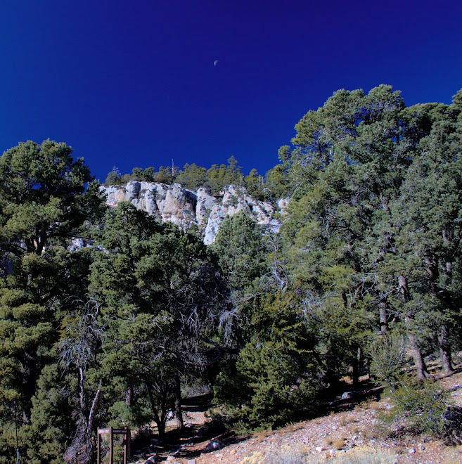 Las Vegas Mountains