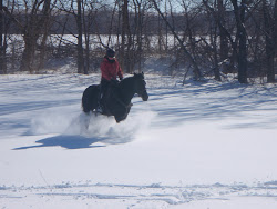 Snow Day