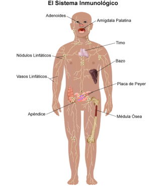 multimodal interaction in image and