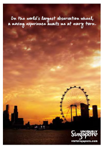 [Singapore+Flyer.jpg]