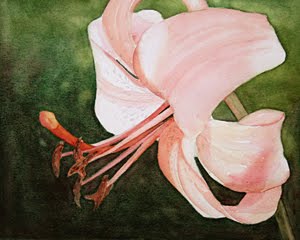 [tiltedlily4.jpg]
