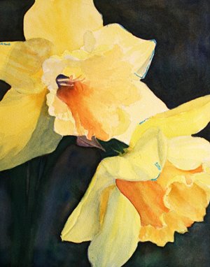 [daffodil1(4).jpg]