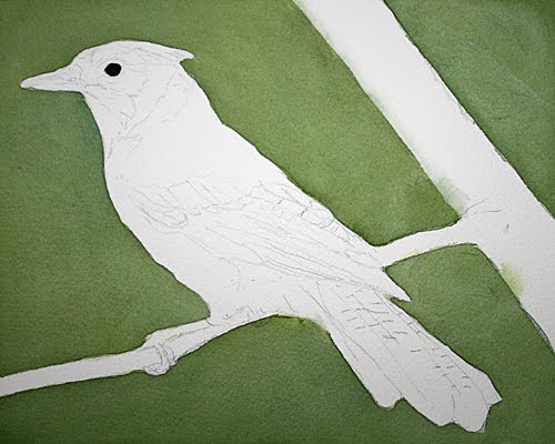[bluejay1.jpg]