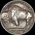 Buffalo Nickel