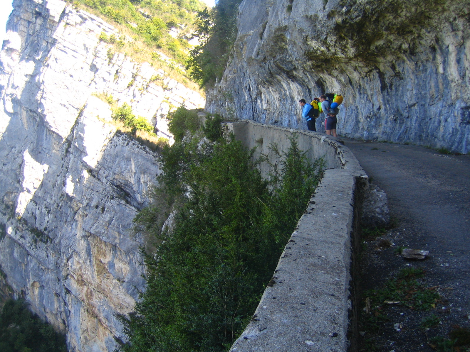 [IMG_0491.JPG]