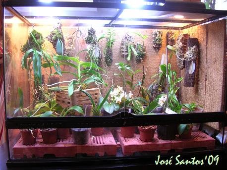 [terrário_fogger_01.jpg]
