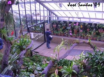 [kew_pwc_orchids.jpg]