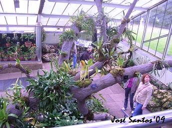 [kew_pwc_tropical.jpg]