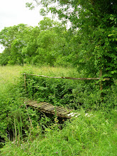 Traversons ce fossé et allons voir le bocage