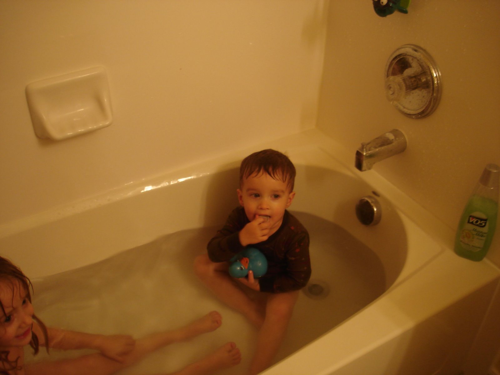 [DSC00036.JPG]