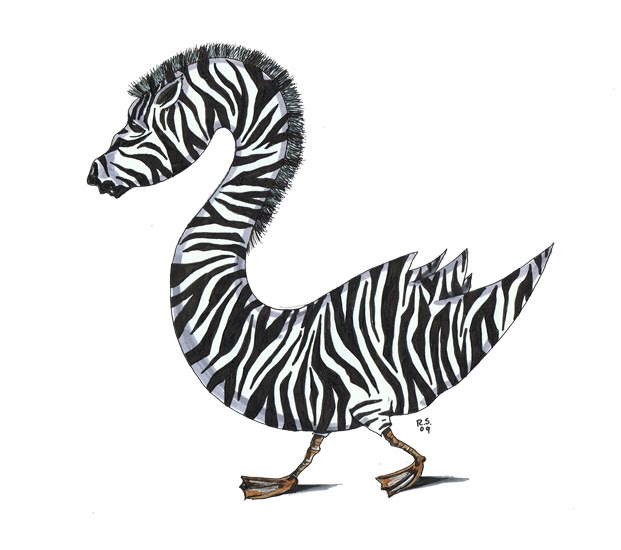 [zebra+3.jpg]