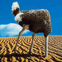 La psicología de la vergüenza Struzzo.gif