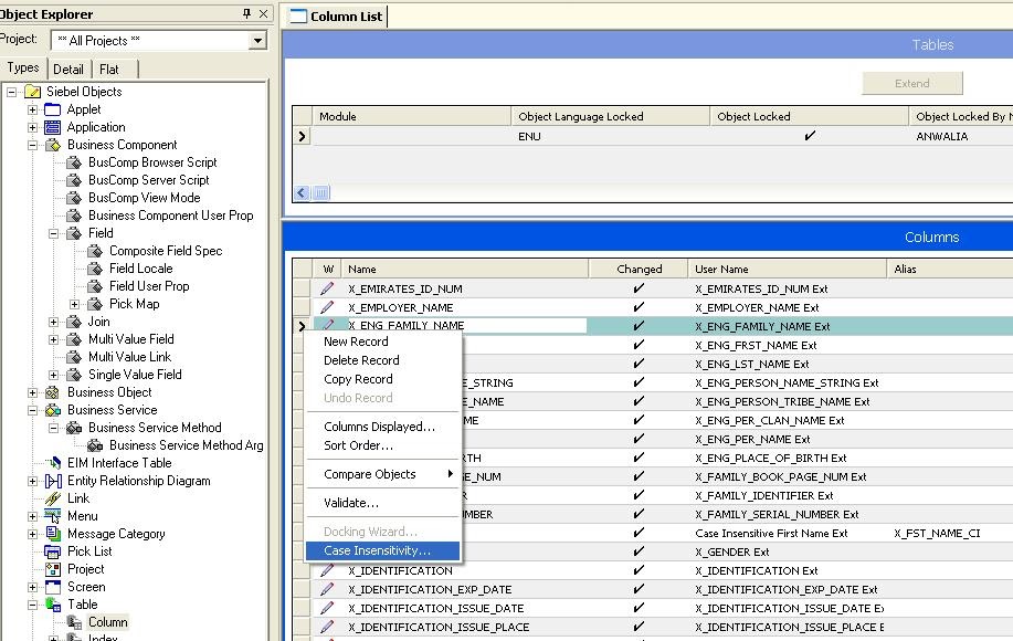 Siebel Explored Case sensitive and Insensitive Query
