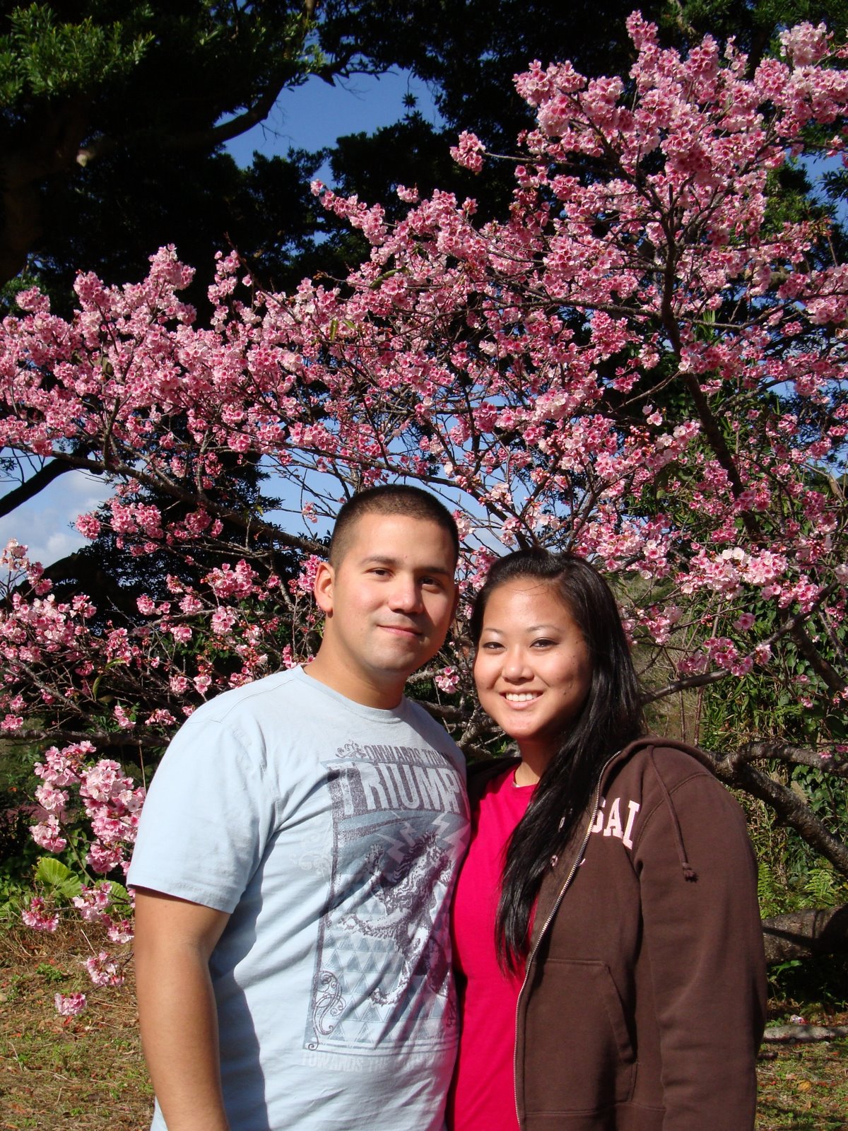 [Cherry+Blossom+1.JPG]