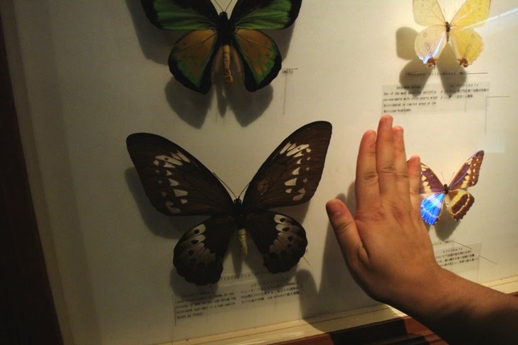 [DSC04017.JPG]