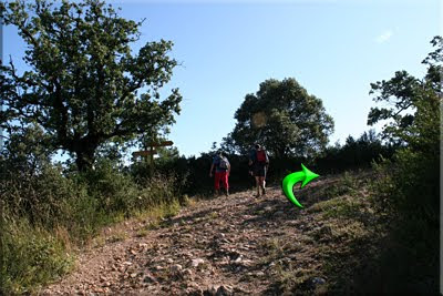 Dejamos el bosque pero seguimos por la pista